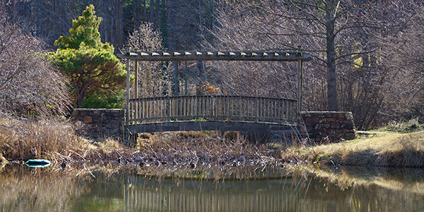 Bridge Over Water